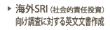 海外SRI向け英文文書作成